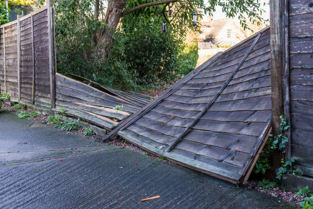  wooden garden fence lies broken on the ground