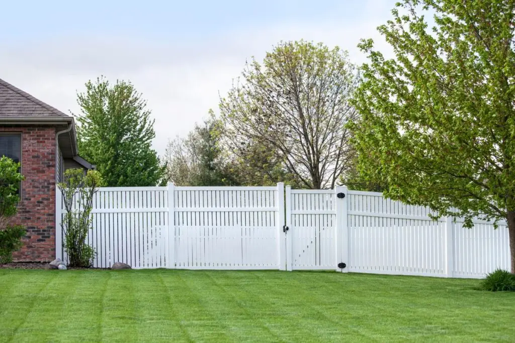 Contemporary White vinyl fence in a backyard
