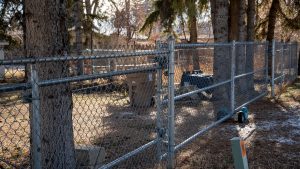 chain link fence cost trees behind fence for big field