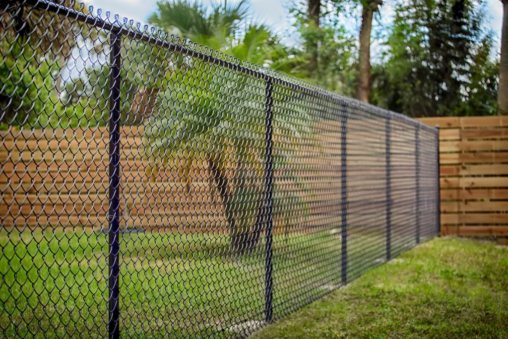vinyl coated chain link fence palm behind fence and wooden wall