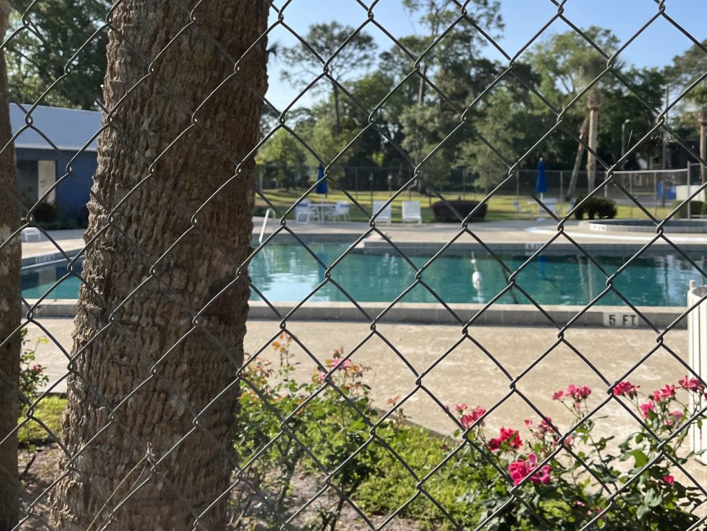 chain link fence installation tree and pool behind the fence